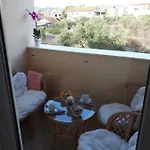 Spider Apartment