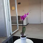 Spider *