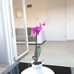 Spider * Pirovac