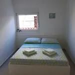 Apartment Spider *